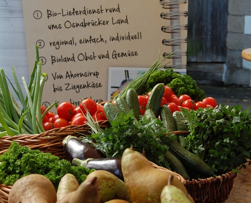 Obst- und Gemüsekorb mit regionalen Produkten, Birnen, Gurken, Tomaten und Kräutern