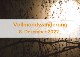 Website Beitragsbild Vollmondwanderung 8.12.2022